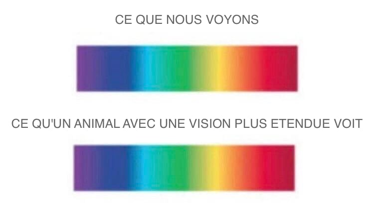 center twothird fullsm